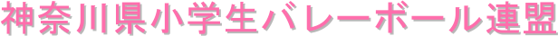 神奈川県小学生バレーボール連盟